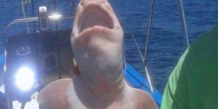 Όταν έβγαλαν αυτό το τρομακτικό ψάρι από την θάλασσα, πάγωσαν – Μόλις κατάλαβαν τι πραγματικά ήταν, έπαθαν σοκ!