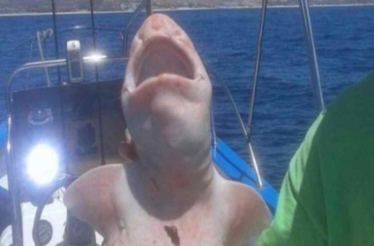 Όταν έβγαλαν αυτό το τρομακτικό ψάρι από την θάλασσα, πάγωσαν – Μόλις κατάλαβαν τι πραγματικά ήταν, έπαθαν σοκ!