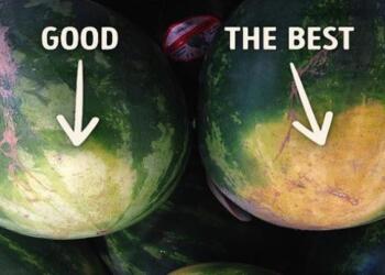 Πολύ πιο νόστιμα τα «θηλυκά» καρπούζια από τα «αρσενικά» – Δείτε πως θα τα ξεχωρίζετε εύκολα [Εικόνες]