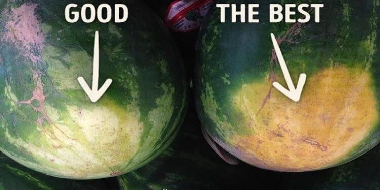 Πολύ πιο νόστιμα τα «θηλυκά» καρπούζια από τα «αρσενικά» – Δείτε πως θα τα ξεχωρίζετε εύκολα [Εικόνες]