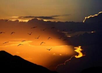 Τι Είναι Η Κατάρα, Τι Είναι Το Ανάθεμα Και Ποιες Είναι Οι Συνέπειες..