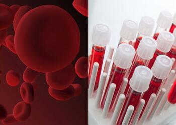 Γιατί οι άνθρωποι με ομάδα αίματος 0 είναι ξεχωριστοί;