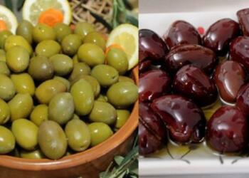 20 λόγοι για τους οποίους πρέπει να αρχίσετε να τρώτε ελιές τώρα