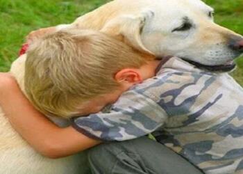 Ένας αγρότης είπε σε ένα αγόρι να μην αγοράσει ένα ακρωτηριασμένο κουτάβι. Δεν περίμενε όμως αυτή την απάντηση του αγοριού.