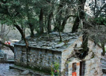 Το ΘΑΥΜΑ με το εκκλησάκι της Αγίας Θεοδώρας με τα 17 πανύψηλα δέντρα στη στέγη. (εικόνες)