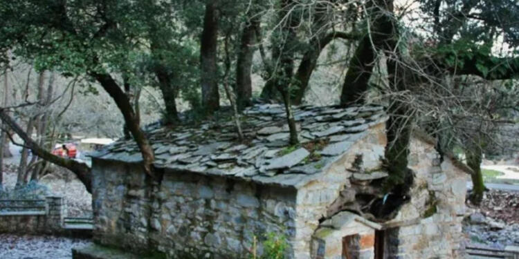 Το ΘΑΥΜΑ με το εκκλησάκι της Αγίας Θεοδώρας με τα 17 πανύψηλα δέντρα στη στέγη. (εικόνες)