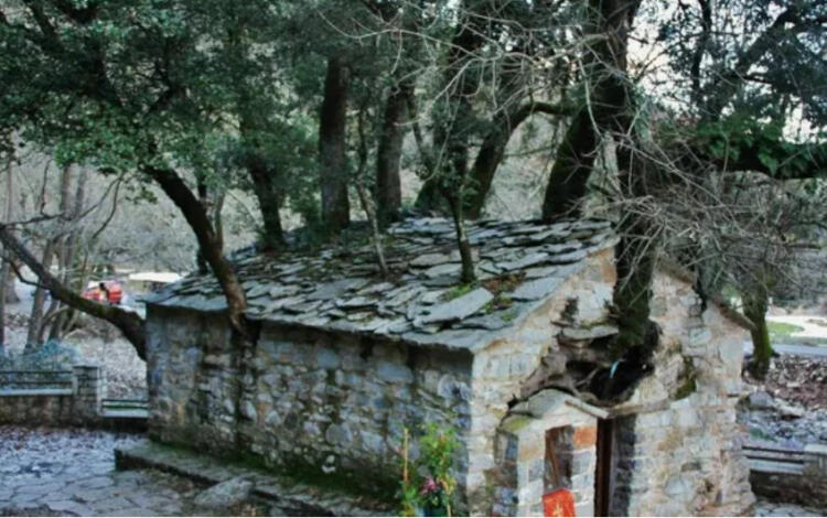 Το ΘΑΥΜΑ με το εκκλησάκι της Αγίας Θεοδώρας με τα 17 πανύψηλα δέντρα στη στέγη. (εικόνες)