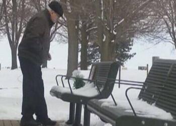 Αρχικά θα νομίζετε ότι απλά στέκεται πάνω από το παγκάκι. Η αλήθεια όμως είναι πολύ πιο συγκινητική