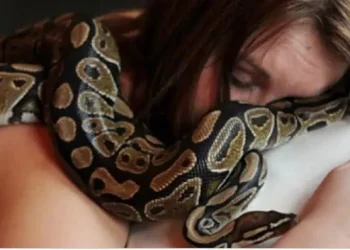 Κάθε βράδυ κοιμόταν αγκαλιά με το Φίδι της, μέχρι που μια μέρα οι Γιατροί της Ανακοίνωσαν την Αλήθεια