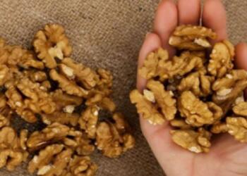 Φάτε 5 καρύδια και περιμένετε για 4 ώρες – Το αποτέλεσμα θα σας αφήσει «άφωνους»