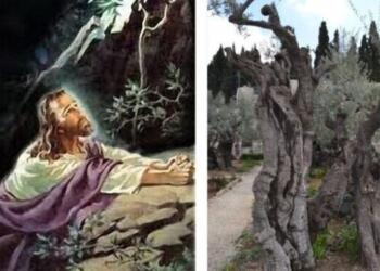 Ιησούς Χριστός: Αυτός είναι ο ιερός τόπος, που προσευχήθηκε για τελευταία φορά, πριν την μαρτυρική σταύρωση