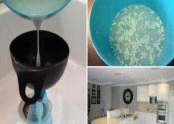 Το σπίτι της μύριζε υπέροχα και κανείς δεν ήξερε γιατί! Δείτε το μυστικό της!