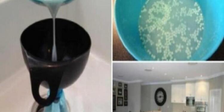 Το σπίτι της μύριζε υπέροχα και κανείς δεν ήξερε γιατί! Δείτε το μυστικό της!