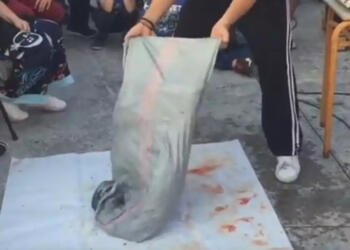 Καλαμάτα: Η στιγμή που ο ψαροντουφεκάς ανοίγει τον σάκο και αφήνει τους πάντες με το στόμα ανοιχτό