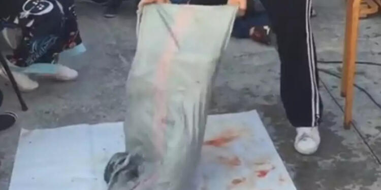 Καλαμάτα: Η στιγμή που ο ψαροντουφεκάς ανοίγει τον σάκο και αφήνει τους πάντες με το στόμα ανοιχτό