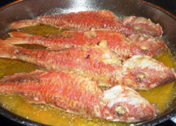 Πώς φεύγει η «τηγανίλα» από το σπίτι; Δειτε πως και θα μας θυμηθείτε