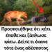 Προσποιήθηκε ότι κάτι έπαθε και ξάπλωσε κάτω. Δείτε τι έκανε τότε ένας αδέσποτος σκύλος