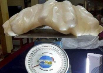 Ψαράς «έκρυβε» στο στρώμα του για γούρι το μεγαλύτερο μαργαριτάρι του κόσμου αξίας 88,5 εκατ. ευρώ χωρίς να το ξέρει!