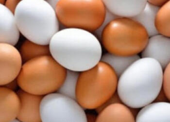 Ποια είναι η διαφορά ανάμεσα στα καφέ και τα άσπρα αυγά;
