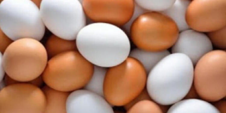 Ποια είναι η διαφορά ανάμεσα στα καφέ και τα άσπρα αυγά;