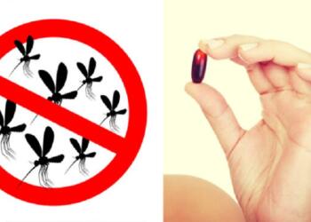 Τσίμπημα κουνουπιών: Πάρτε Αυτή Τη Βιταμίνη Και Ξεχάστε Τα Τσιμπήματα Για Όλο Το Καλοκαίρι!