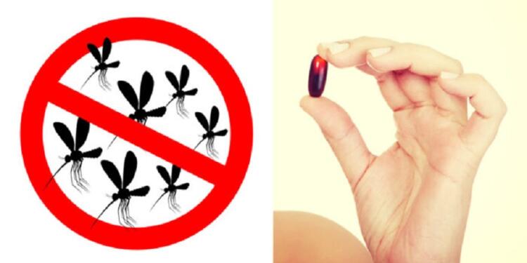 Τσίμπημα κουνουπιών: Πάρτε Αυτή Τη Βιταμίνη Και Ξεχάστε Τα Τσιμπήματα Για Όλο Το Καλοκαίρι!