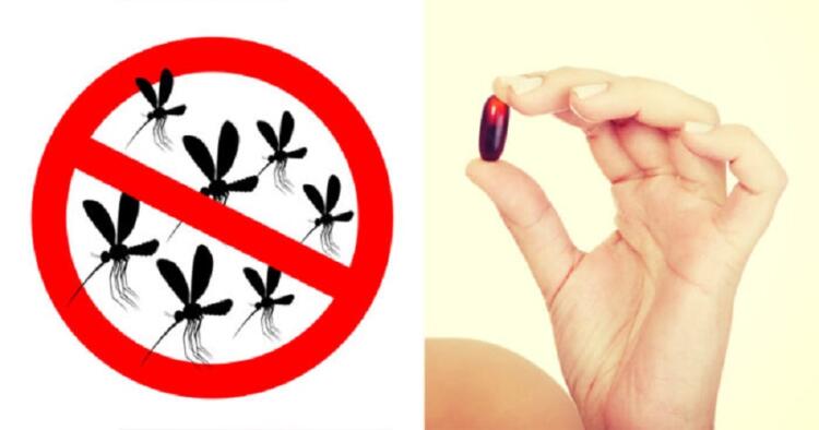 Τσίμπημα κουνουπιών: Πάρτε Αυτή Τη Βιταμίνη Και Ξεχάστε Τα Τσιμπήματα Για Όλο Το Καλοκαίρι!