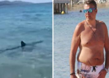 «Πάγωσε» ο Γιώργος Λιάγκας: Δέχτηκε επίθεση από καρχαρία! (video)