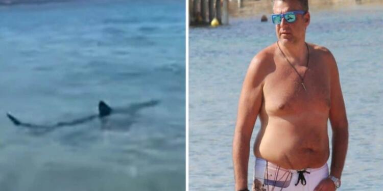 «Πάγωσε» ο Γιώργος Λιάγκας: Δέχτηκε επίθεση από καρχαρία! (video)