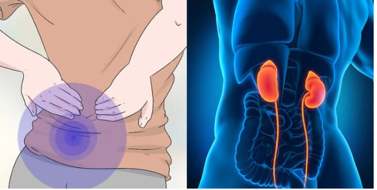 Τι δείχνει για την υγεία σας η συχνότητα ούρησης: Απλές, αλλά και σοβαρές αιτίες