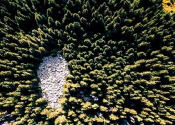 Φωτιά: Τι κάνει τα ατέλειωτα βουνά της Βουλγαρίας να μην καίγονται όπως της Ελλάδας