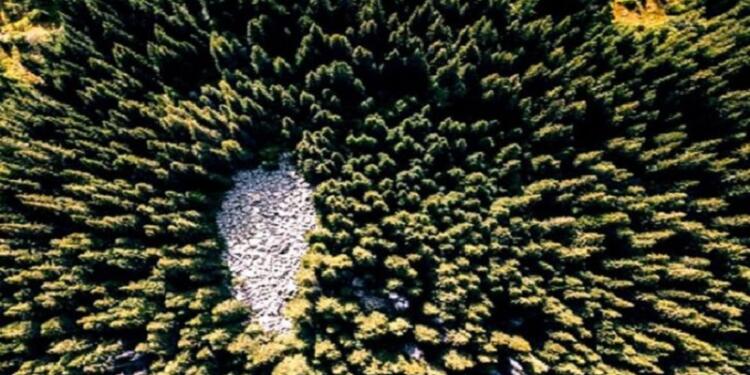 Φωτιά: Τι κάνει τα ατέλειωτα βουνά της Βουλγαρίας να μην καίγονται όπως της Ελλάδας