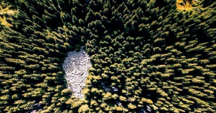 Φωτιά: Τι κάνει τα ατέλειωτα βουνά της Βουλγαρίας να μην καίγονται όπως της Ελλάδας