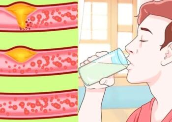 Βάλε τέλος σε χοληστερίνη και τριγλυκερίδια: Το φθηνό ρόφημα που καθαρίζει τις αρτηρίες και προστατεύει την καρδιά