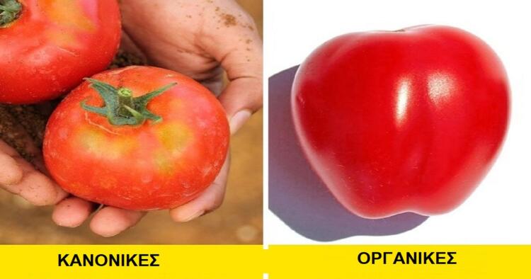ΣΗΜΑΝΤΙΚΟ…Τρεις απλοί τρόποι να ξεχωρίσετε τα οργανικά από τα μεταλλαγμένα τρόφιμα