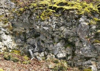 Μέσα σε αυτή τη φωτογραφία υπάρχει μια γuμvή γuvαίκα. Ποιος μπορείς να την βρει?