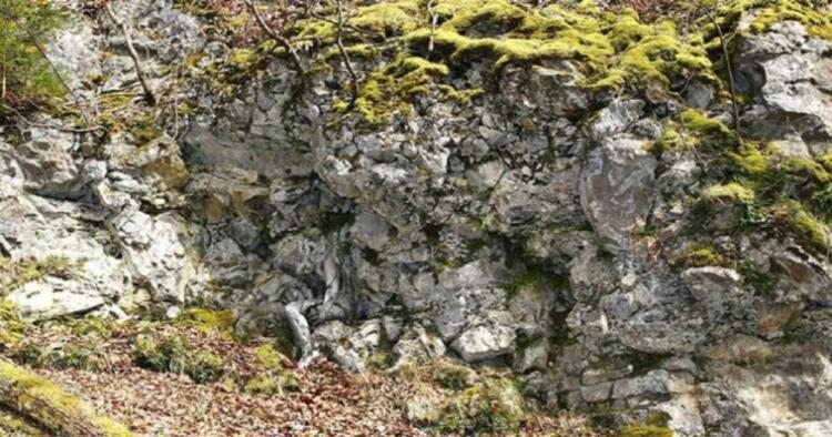 Μέσα σε αυτή τη φωτογραφία υπάρχει μια γuμvή γuvαίκα. Ποιος μπορείς να την βρει?