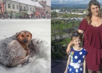 Θα κλάψετε! Η τρυφερή κίνηση σκύλου σε 10χρονο κοριτσάκι που μας “έστειλε”