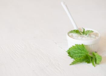 background, nettle, yogurt