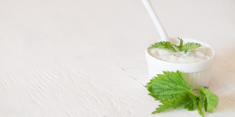 background, nettle, yogurt