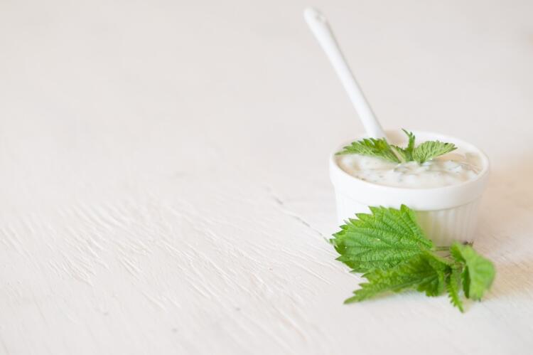 background, nettle, yogurt