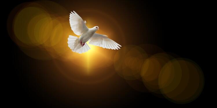 faith, dove, holy spirit