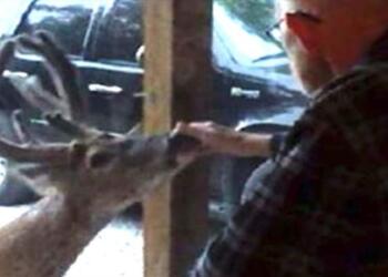 Λίγο πριν πεθάνει ο 70χρονος παππούς εμφανίστηκε ένα ελάφι στο παράθυρο. Με τη συνέχεια θα παγώσετε!