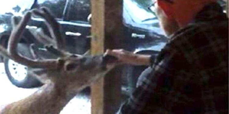 Λίγο πριν πεθάνει ο 70χρονος παππούς εμφανίστηκε ένα ελάφι στο παράθυρο. Με τη συνέχεια θα παγώσετε!