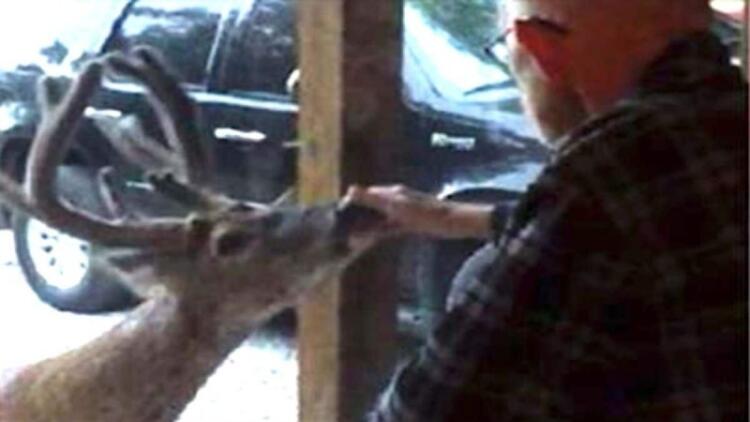 Λίγο πριν πεθάνει ο 70χρονος παππούς εμφανίστηκε ένα ελάφι στο παράθυρο. Με τη συνέχεια θα παγώσετε!