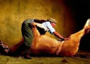 Αυτός ο άνδρας αγόρασε ένα νεκρό άλογο. Αυτό που έκανε με αυτό ήταν λαμπρό!