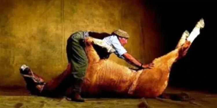 Αυτός ο άνδρας αγόρασε ένα νεκρό άλογο. Αυτό που έκανε με αυτό ήταν λαμπρό!