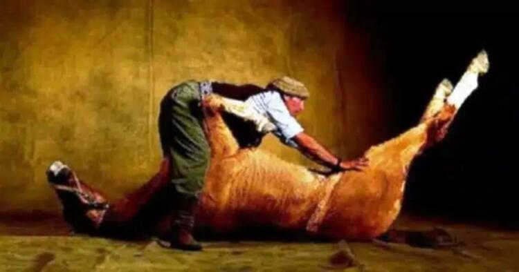 Αυτός ο άνδρας αγόρασε ένα νεκρό άλογο. Αυτό που έκανε με αυτό ήταν λαμπρό!