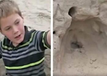 11χρονος έπαιζε στην παραλία και βρήκε κάτι θαμμένο να κουνιέται στην άμμο…Όταν κατάλαβαν τι είναι, “έμειναν”!