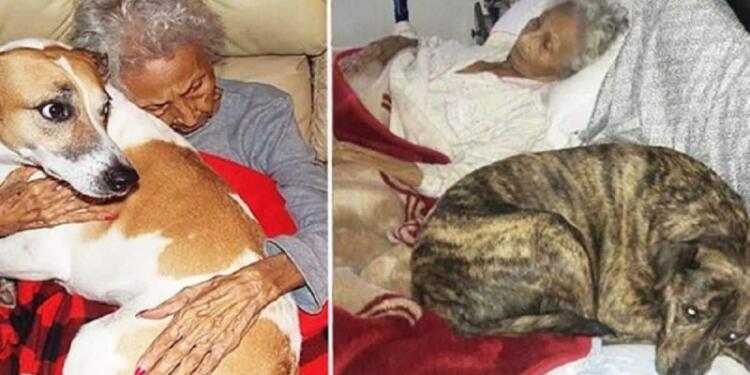 83χρονη γιαγιά πεθαίνει από ανίατη ασθένεια – Η τελευταία επιθυμία της ζωής της για τα σκυλιά της ανατριχιάζει